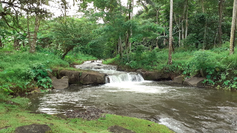 Dave Parker's Eco Lodge