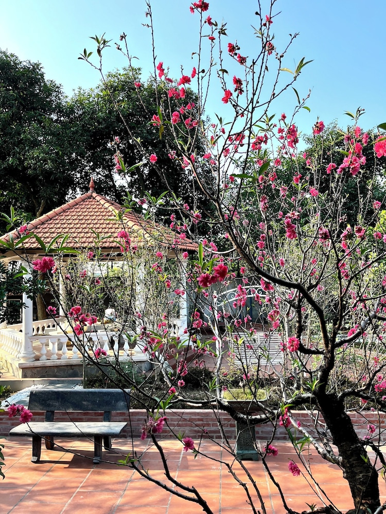 J'adore Garden House - Vinh Yen