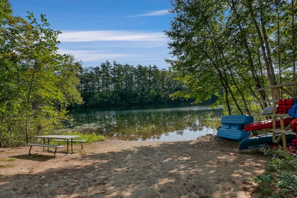 Pond And Pine