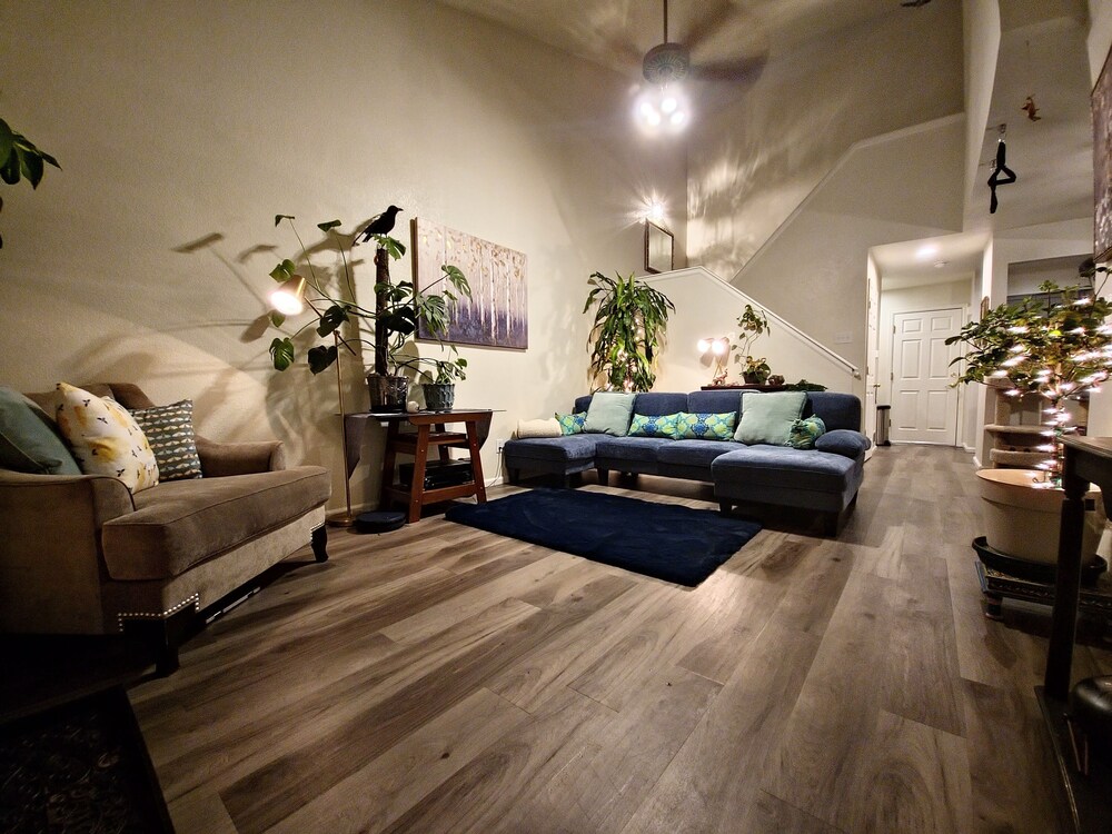 Casa de gato