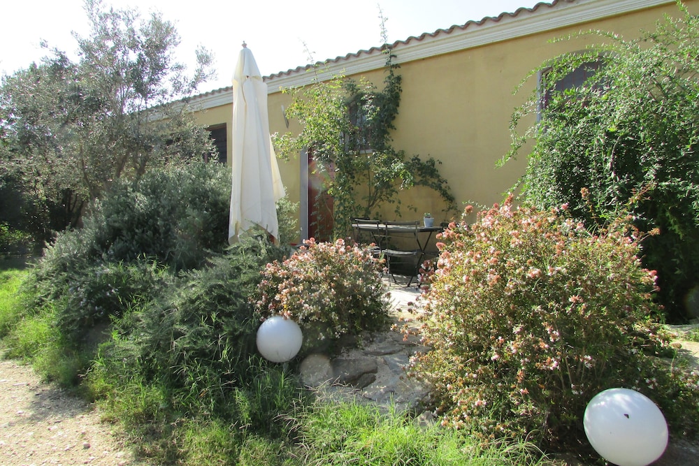 Cavalli di S'Arcaite