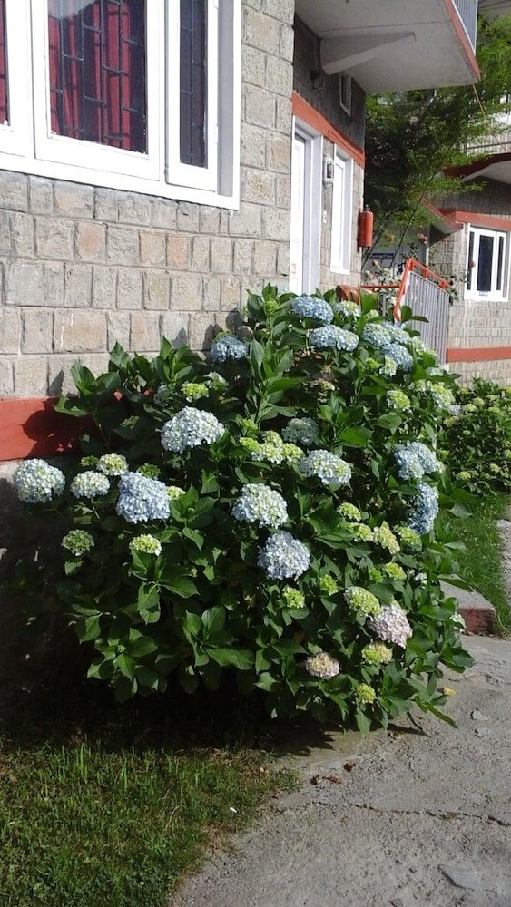 Hotel Dev Cottage