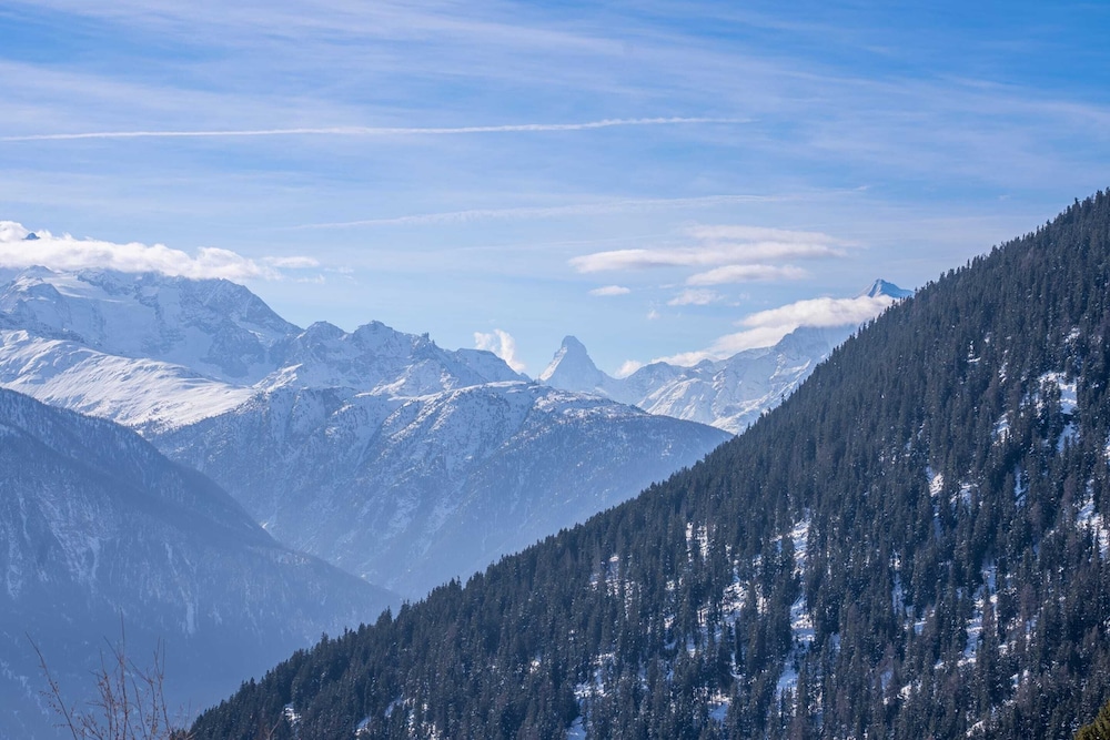 Chalet Elsa
