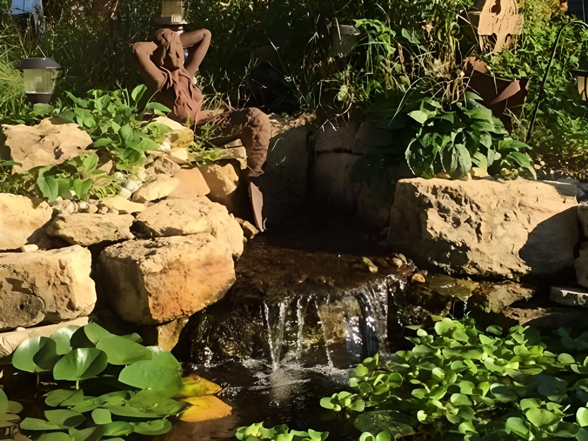 Dragonfly Bed and Breakfast