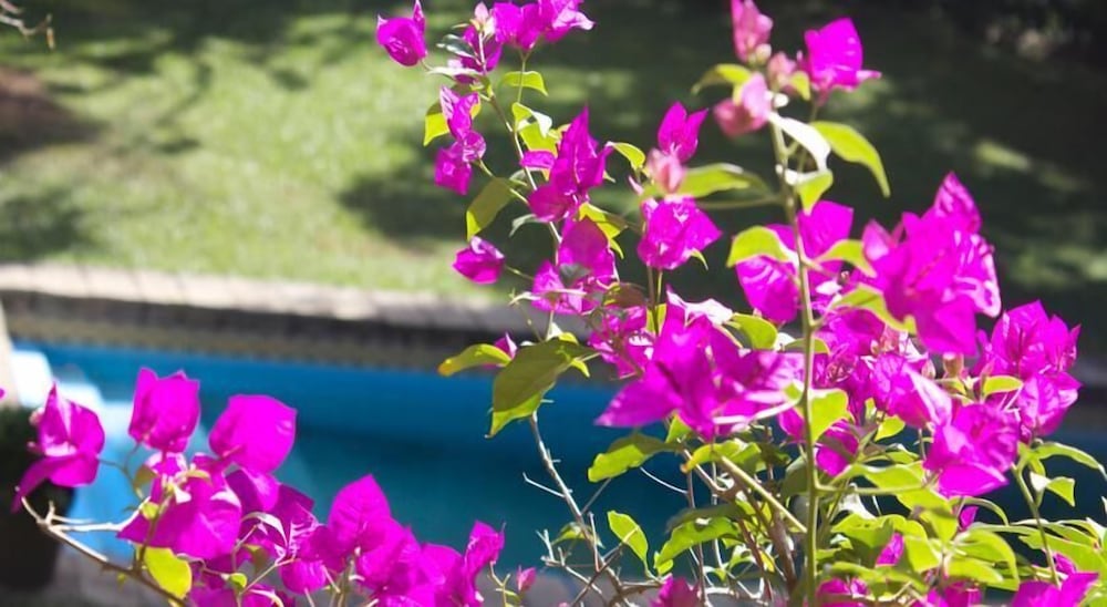 Pousada Villa Jambo