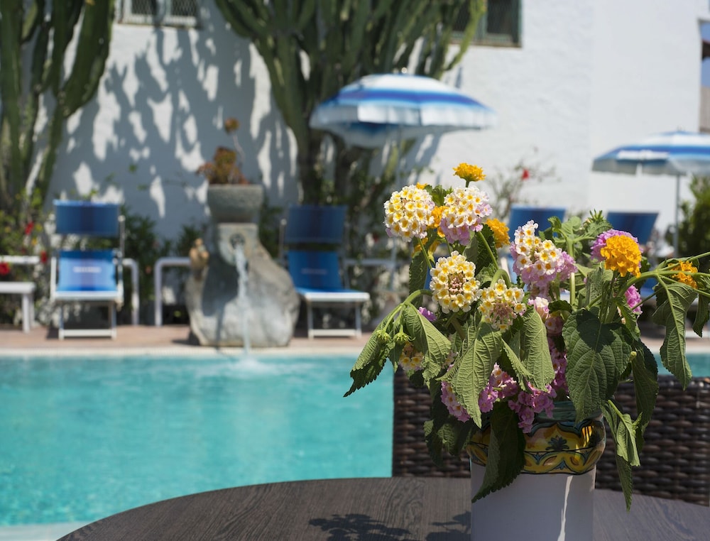 Room in B&B - Ischia, 1 Relaxing Doubles With sea View Hotel Imperamare