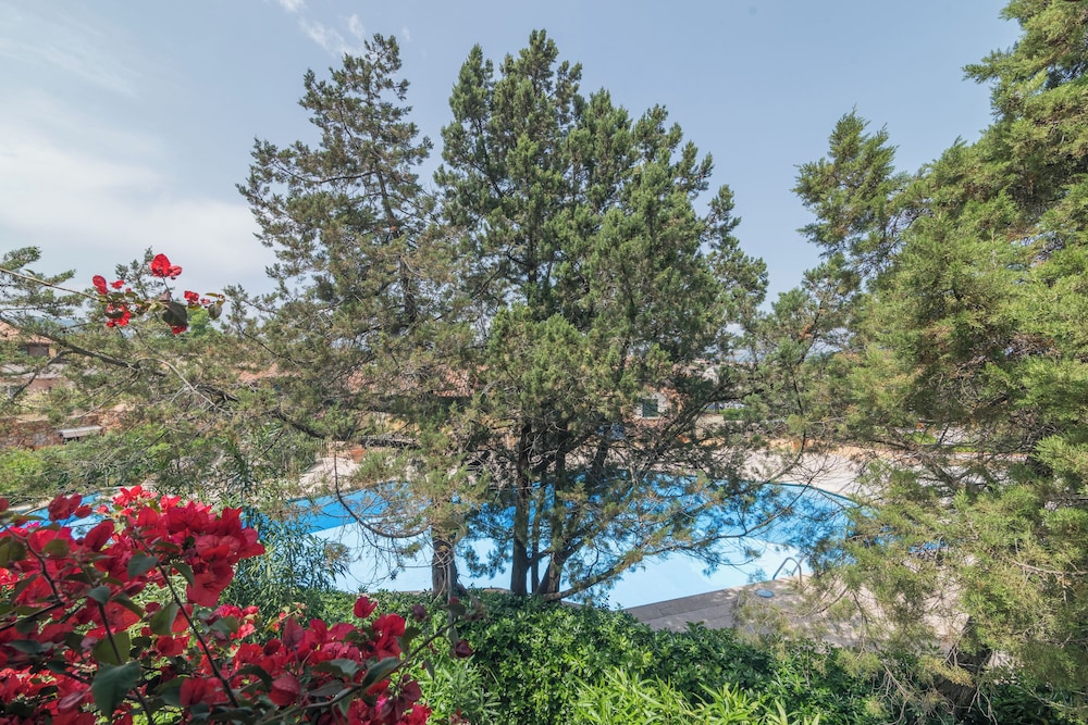Rotondo Residence 67 1.5km From The Beach view 5