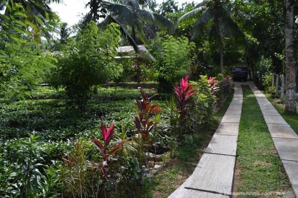Graten Tea Garden Holiday Bungalow