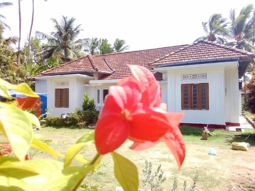 Saja Homestay view 3
