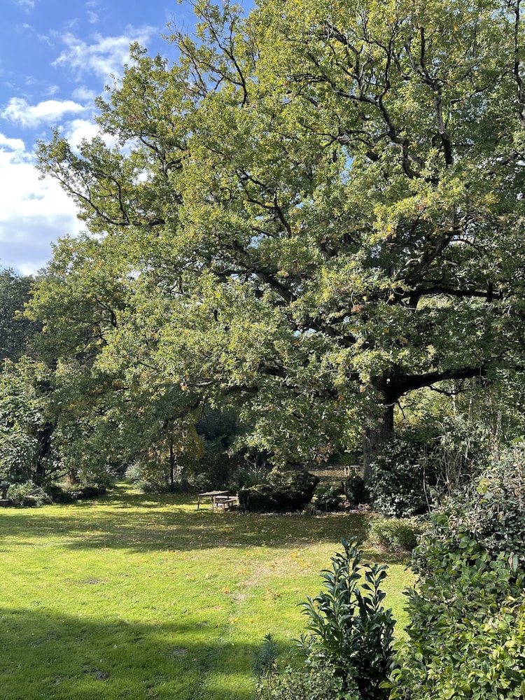 Manoir de la Chaussée view 2