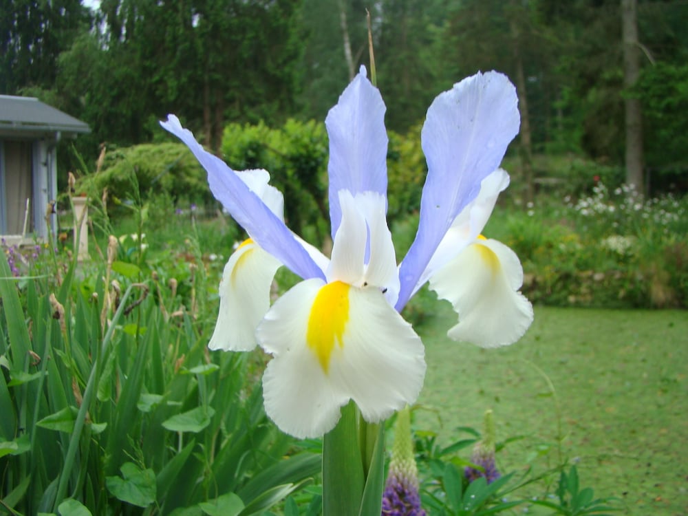 Le jardin de Saint Jean