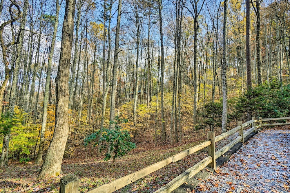 Woodsy Pigeon Forge Hideaway: Private Hot Tub view 3
