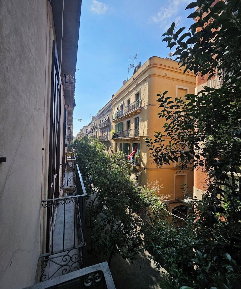 Central and Basic Universitat photo 3