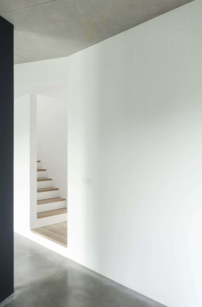 Dimensions M