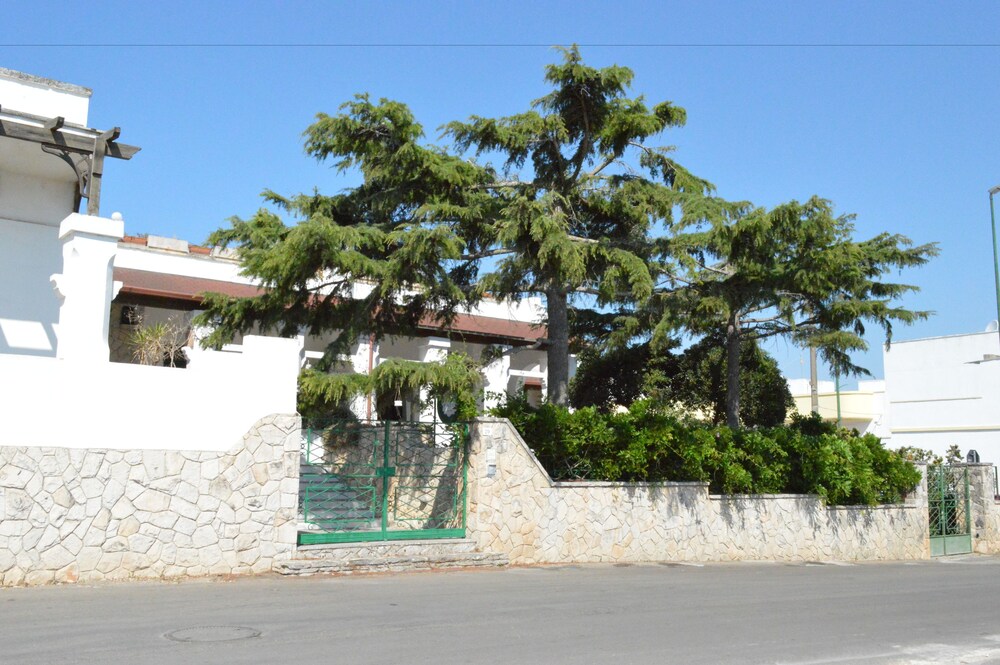 Alma Mater B&B