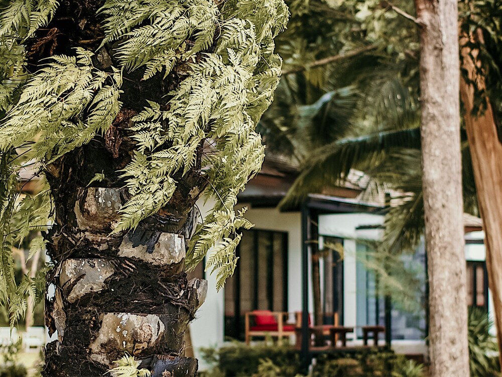 The Mangrove Panwa Phuket Resort