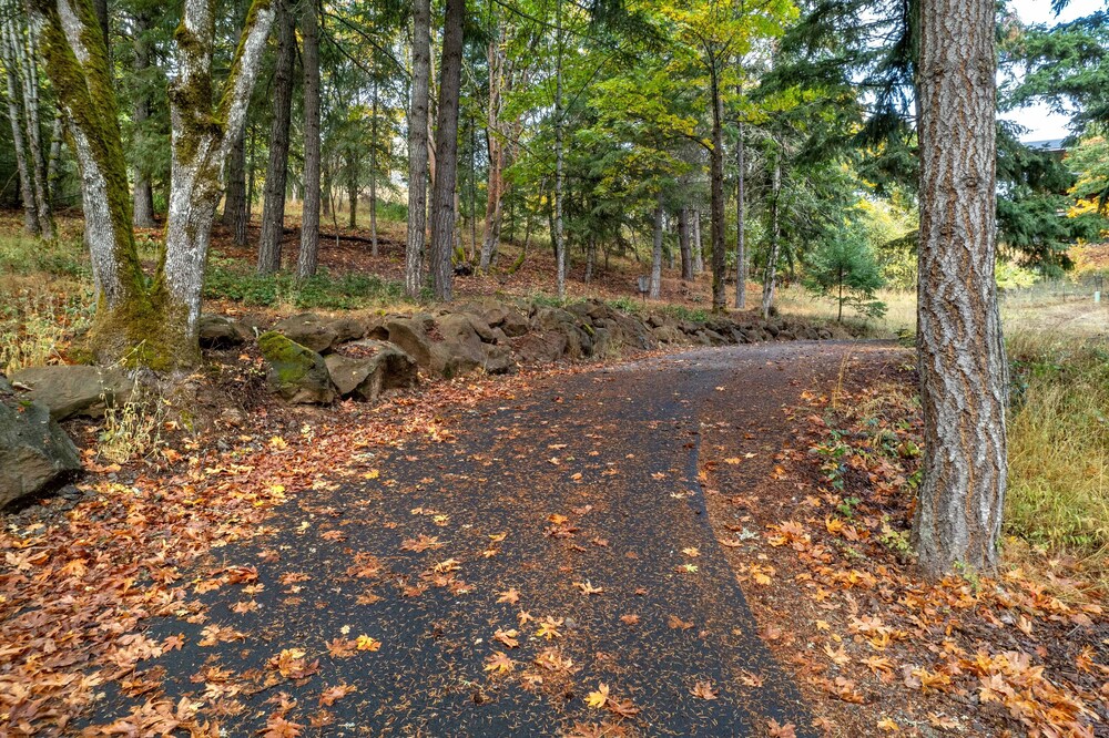 Evergreen Retreat B 30 Night Minimum 1 Bedroom Apts