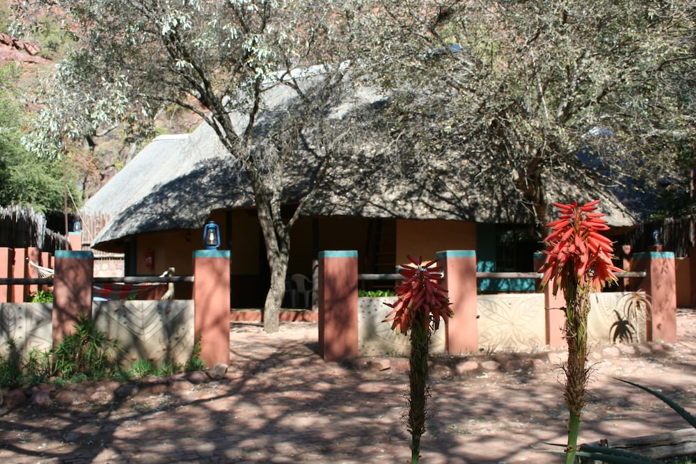 Photo 43