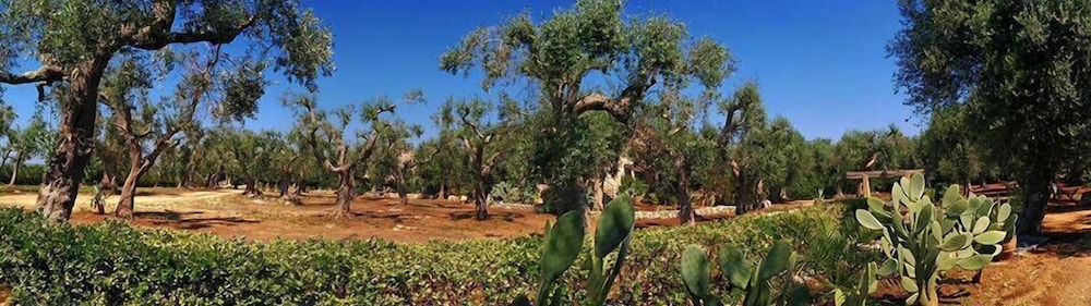 Case fra gli Ulivi
