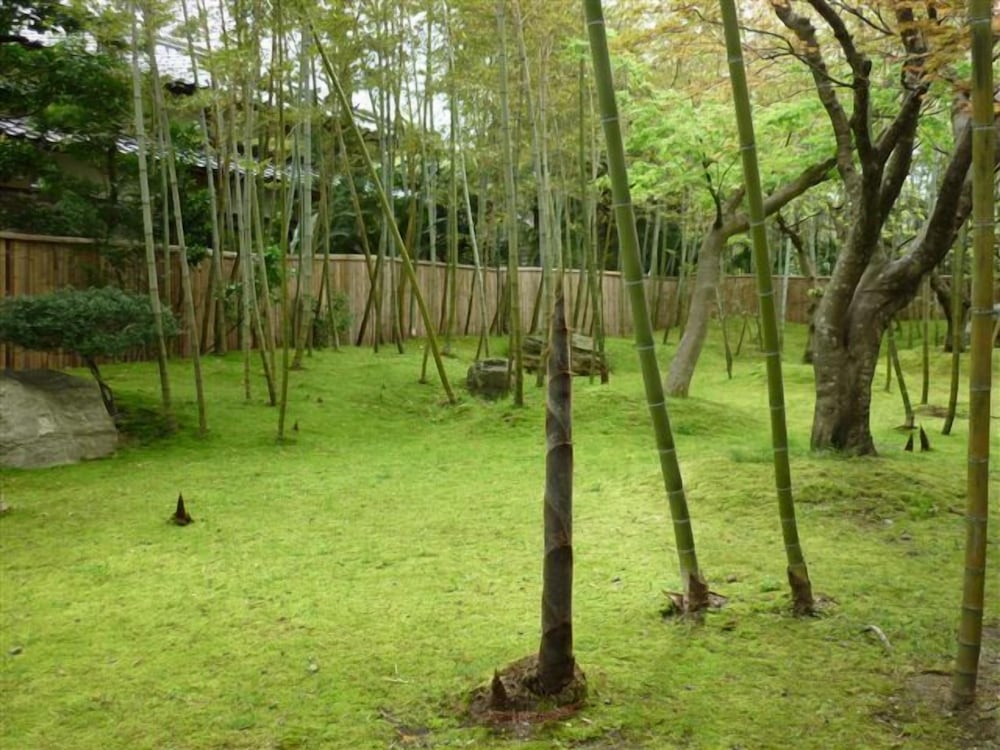 Livemax Resort Yuhigaura Kitu Onsen