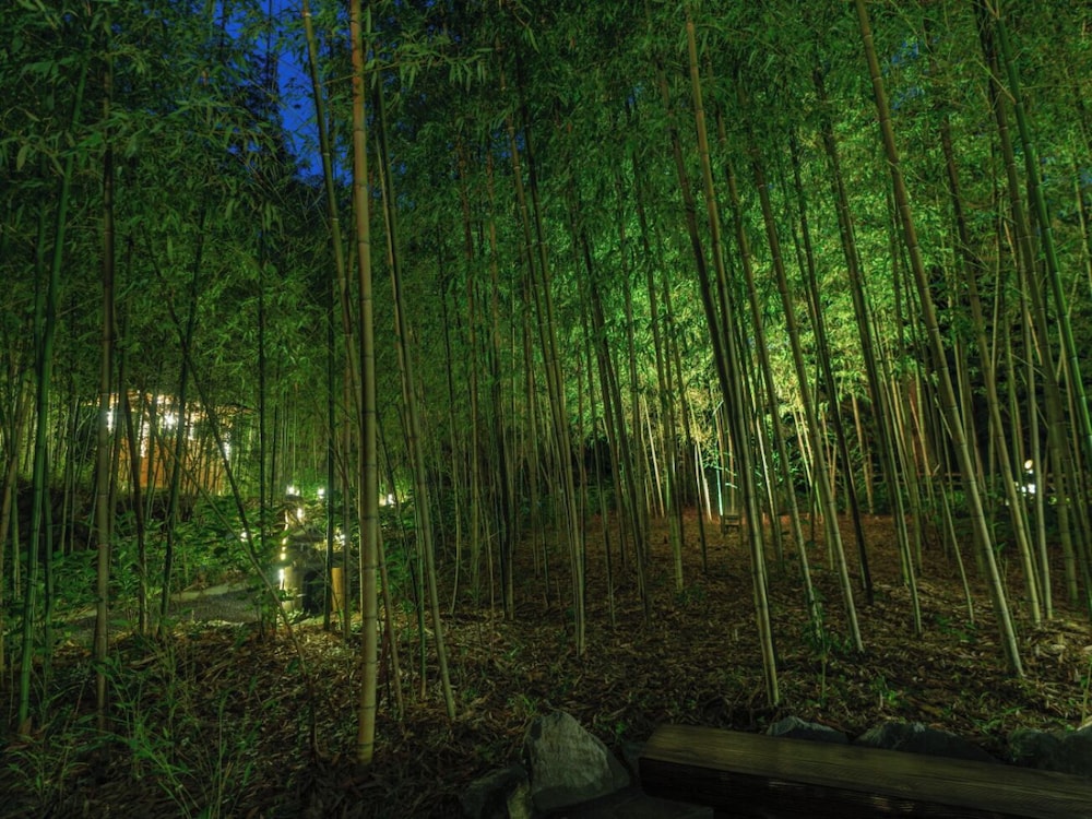 Narashino no sato Gyokusui -6 years or older-