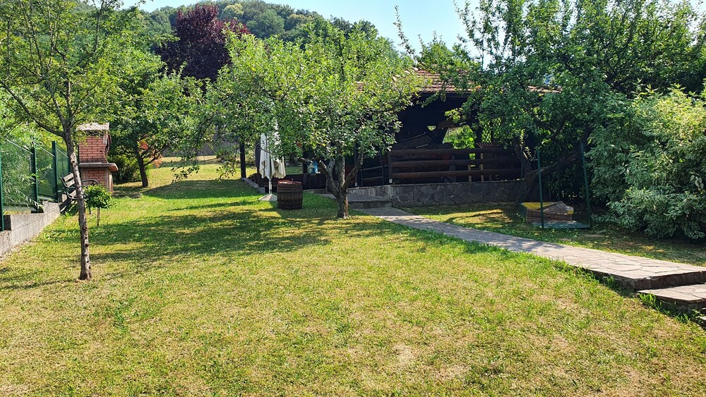 Photo 9