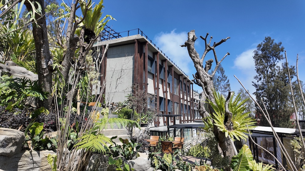 Jambuluwuk Bromo Poshtel