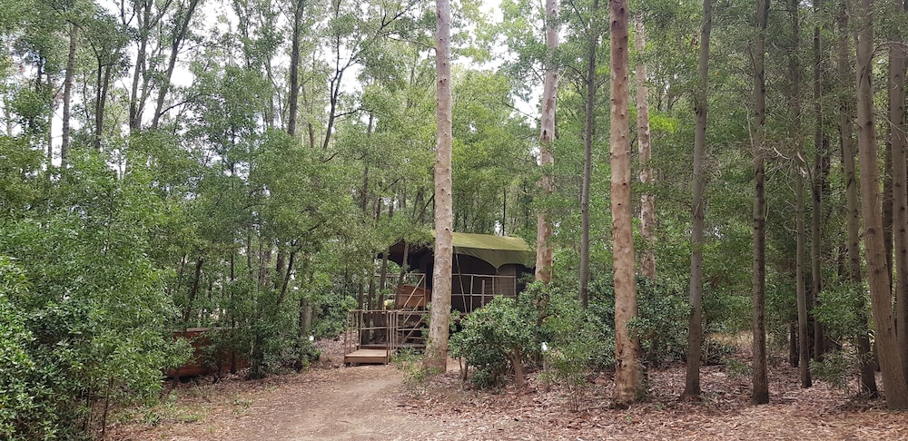Tri Active Lodge
