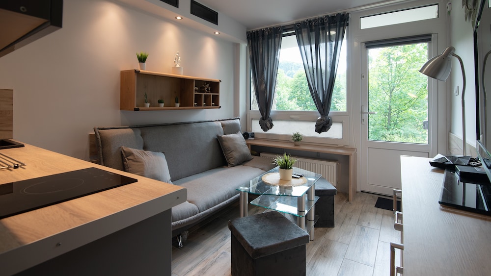 Apartamenty Sun & Snow Barbara Ustroń view 4