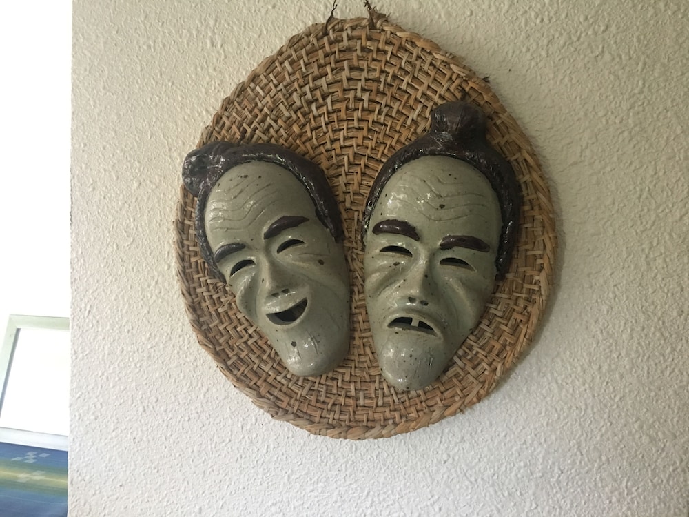 Iriomotejima sawayakasou