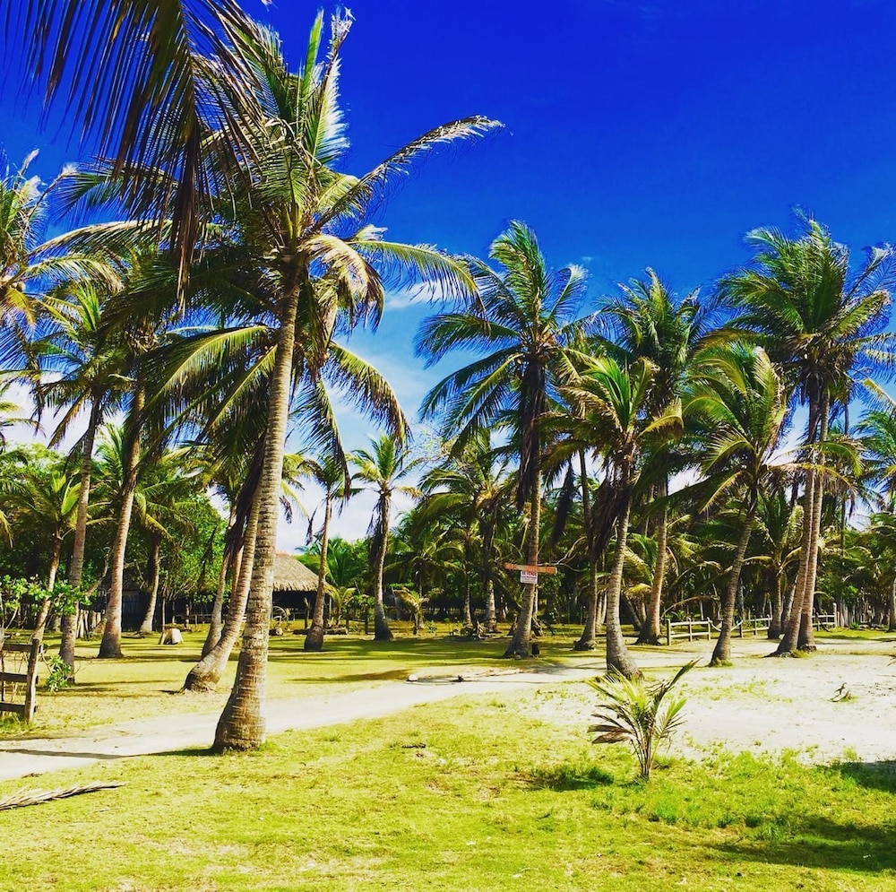 Criollo Beach Camp view 5