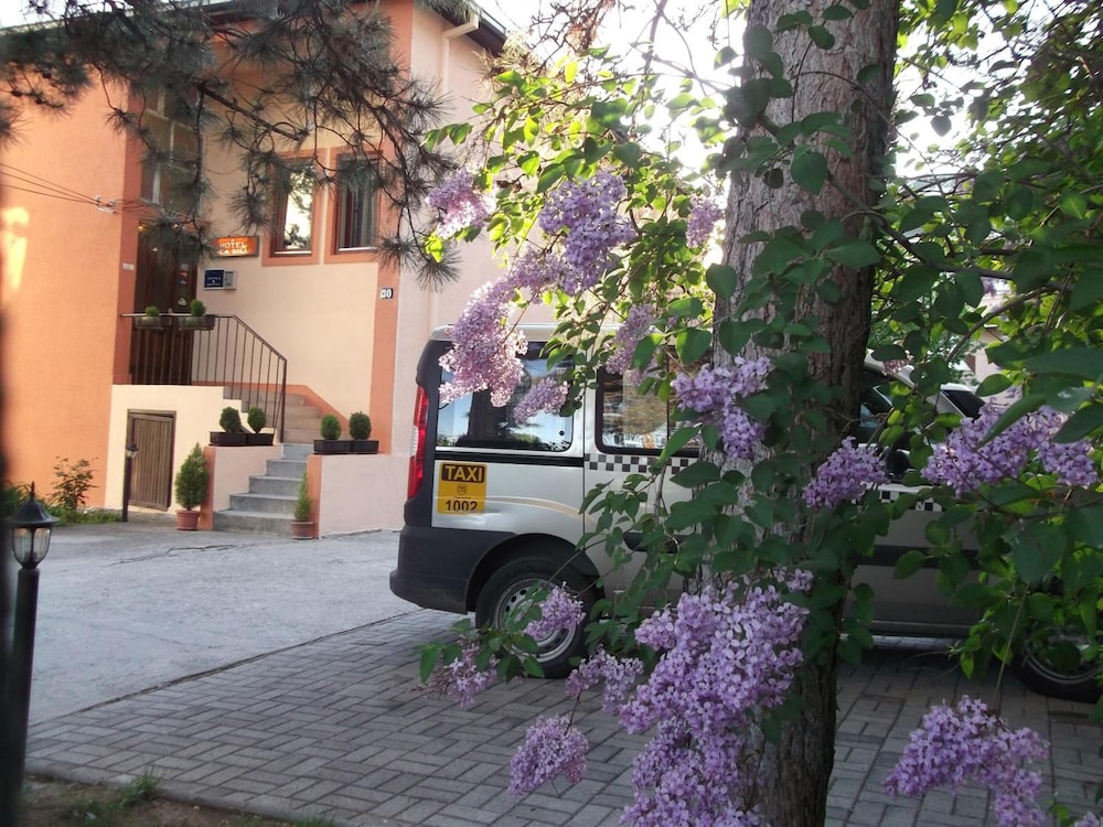 Photo 38