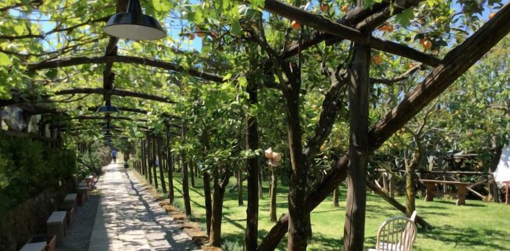 Podere don Peppe 1884