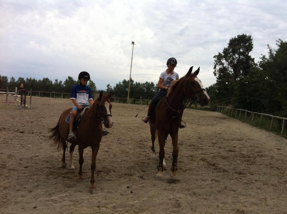 Photo 43