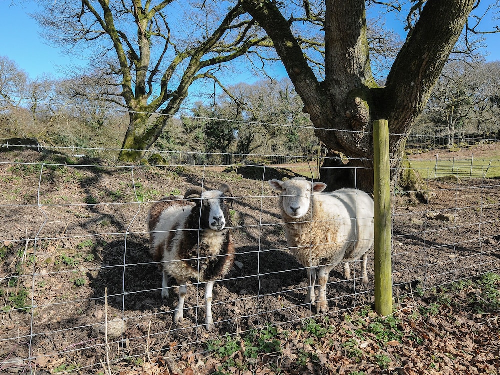 Heligan