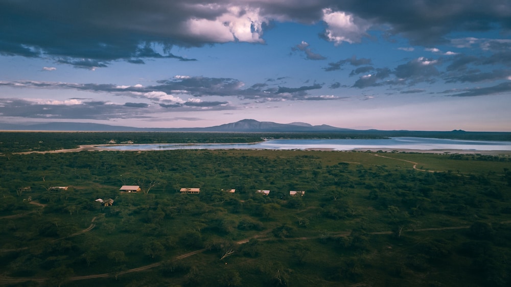 Gnu Ndutu Camp