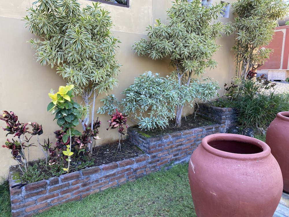 Villa Anjing 2