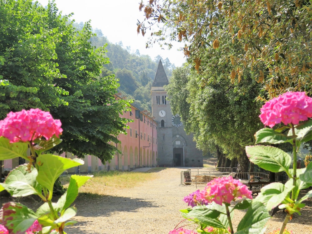 Lecci Di Soviore