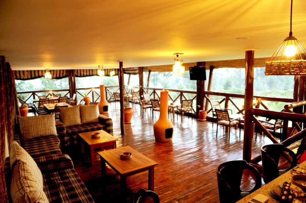 Da Vinci Gorilla Lodge