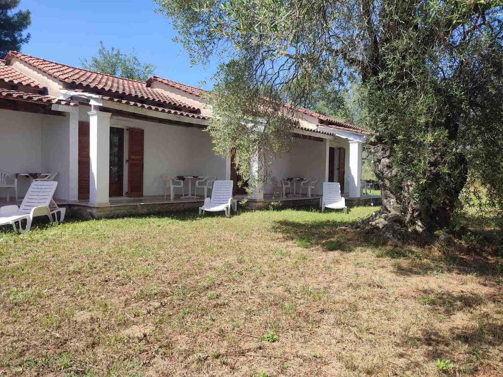 Repose Olive Grove Roda view 2