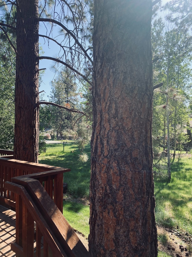 Widgi Creek 44b 1 Bedroom Condo by Redawning view 2