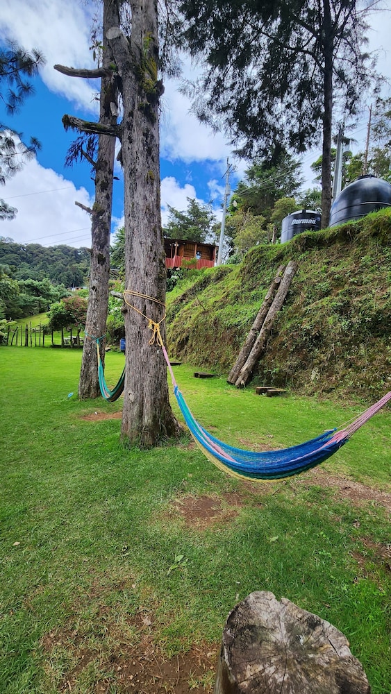 El Pital