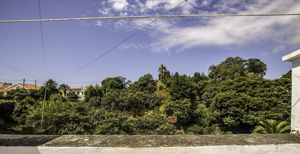 Quinta de S o Carlos