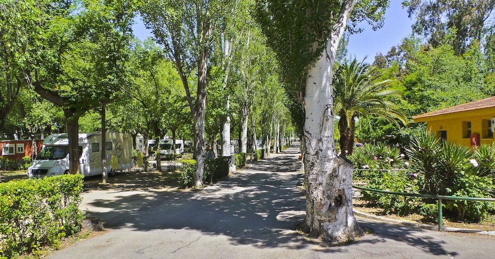 Bungalows Camping Alpha Madrid