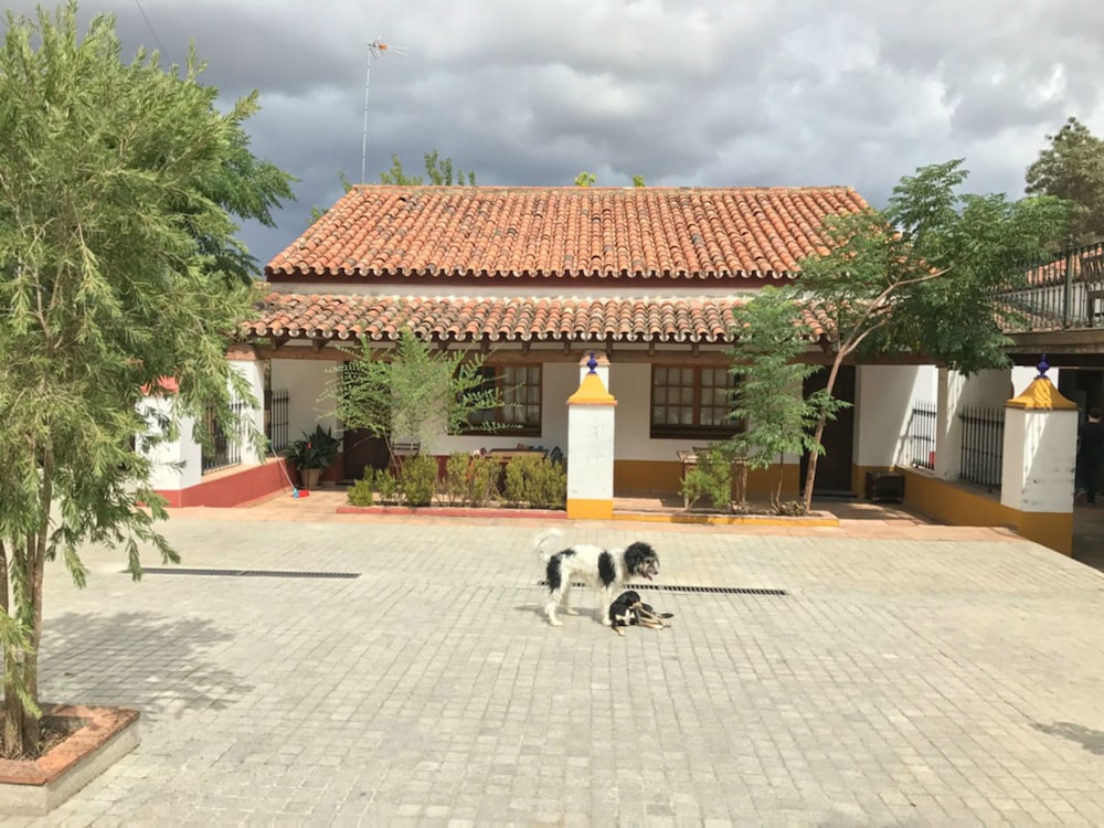 Finca La vega