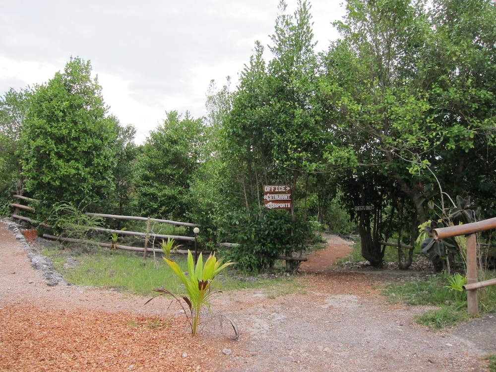 Photo 20