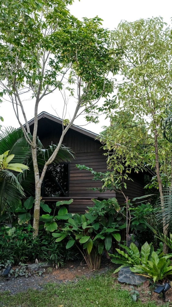 Lush Inn Phuket