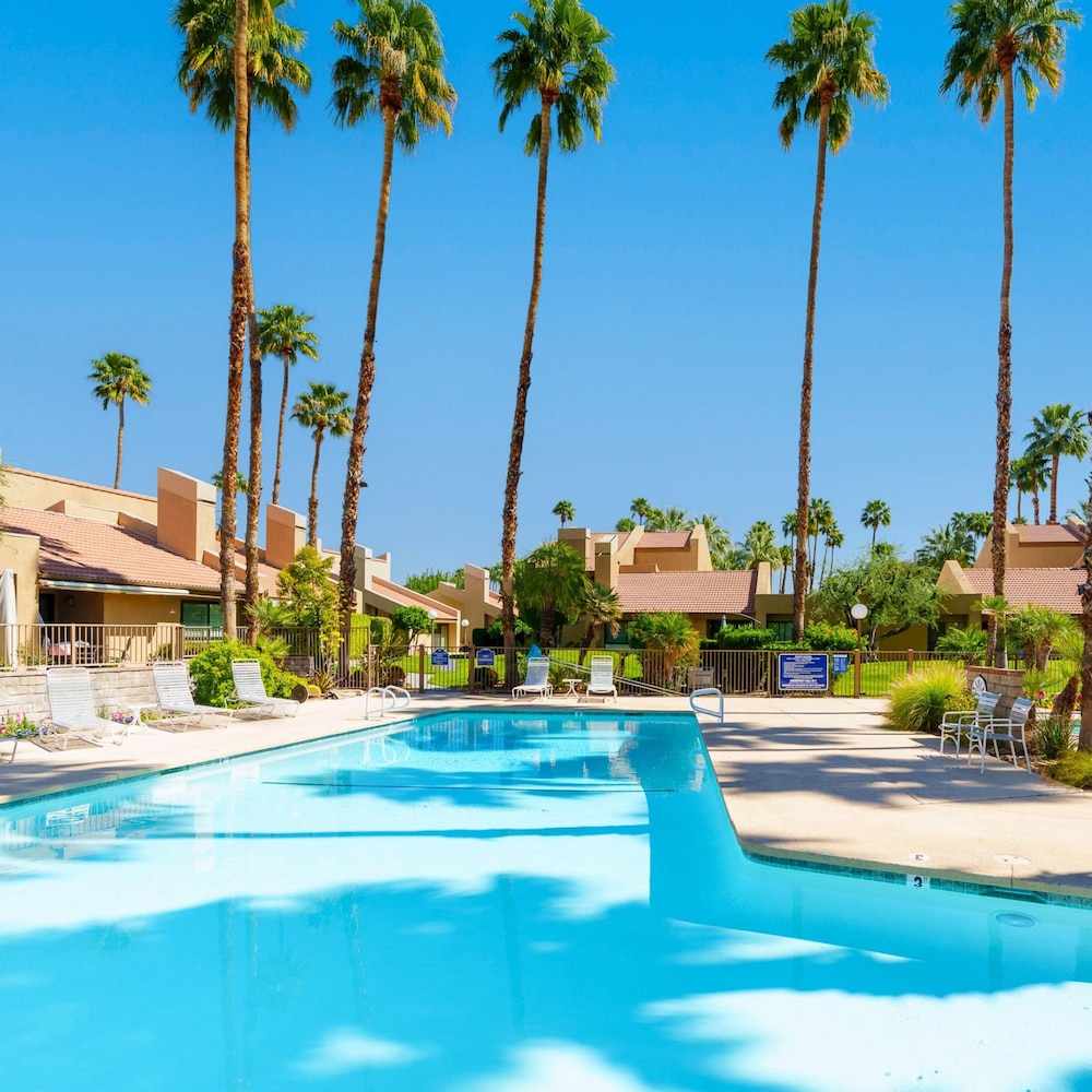 Paradise at the Pointe