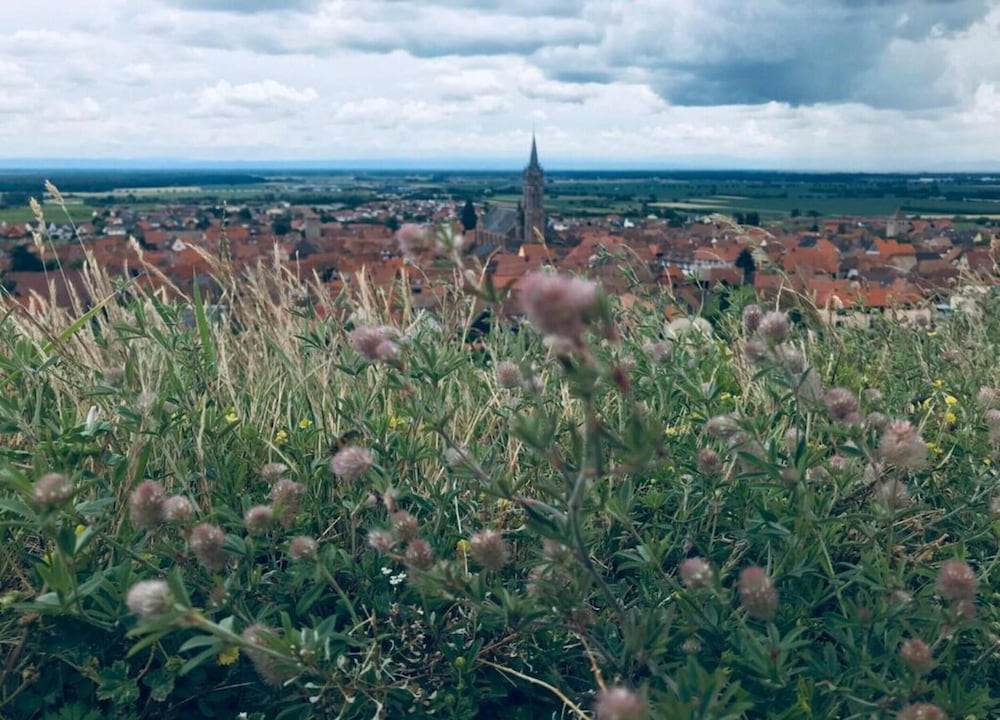 Apartment in Alsace Near Europa-park