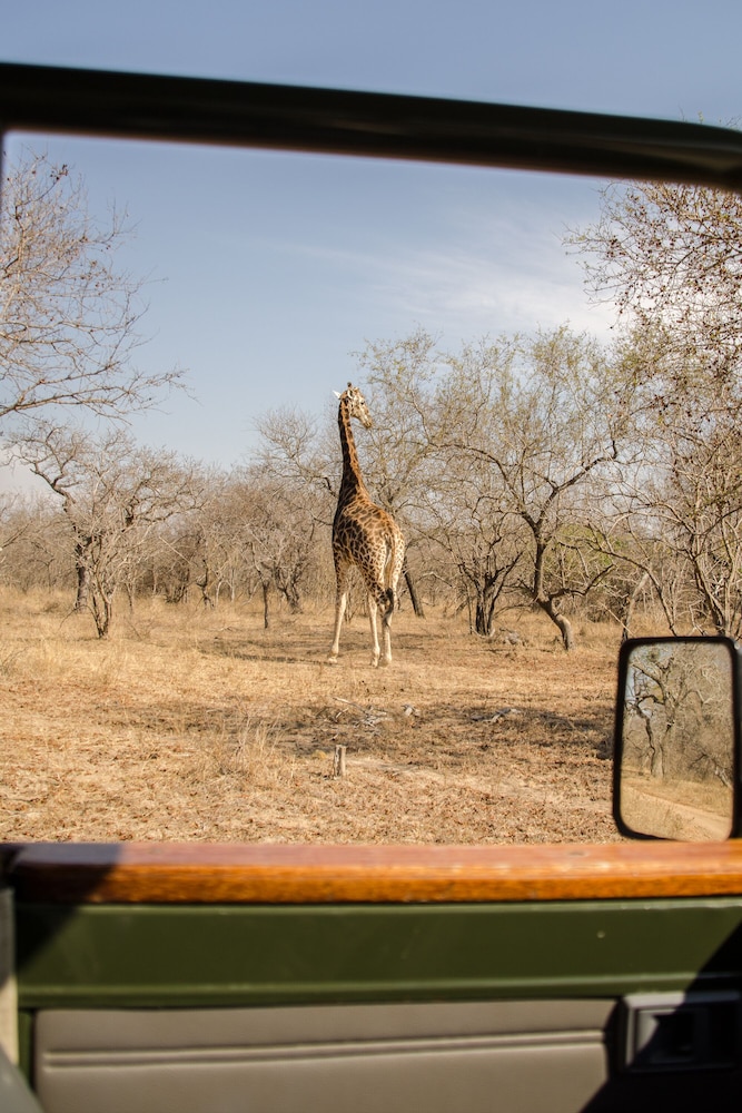 Elandela Private Game Reserve & Luxury Lodge
